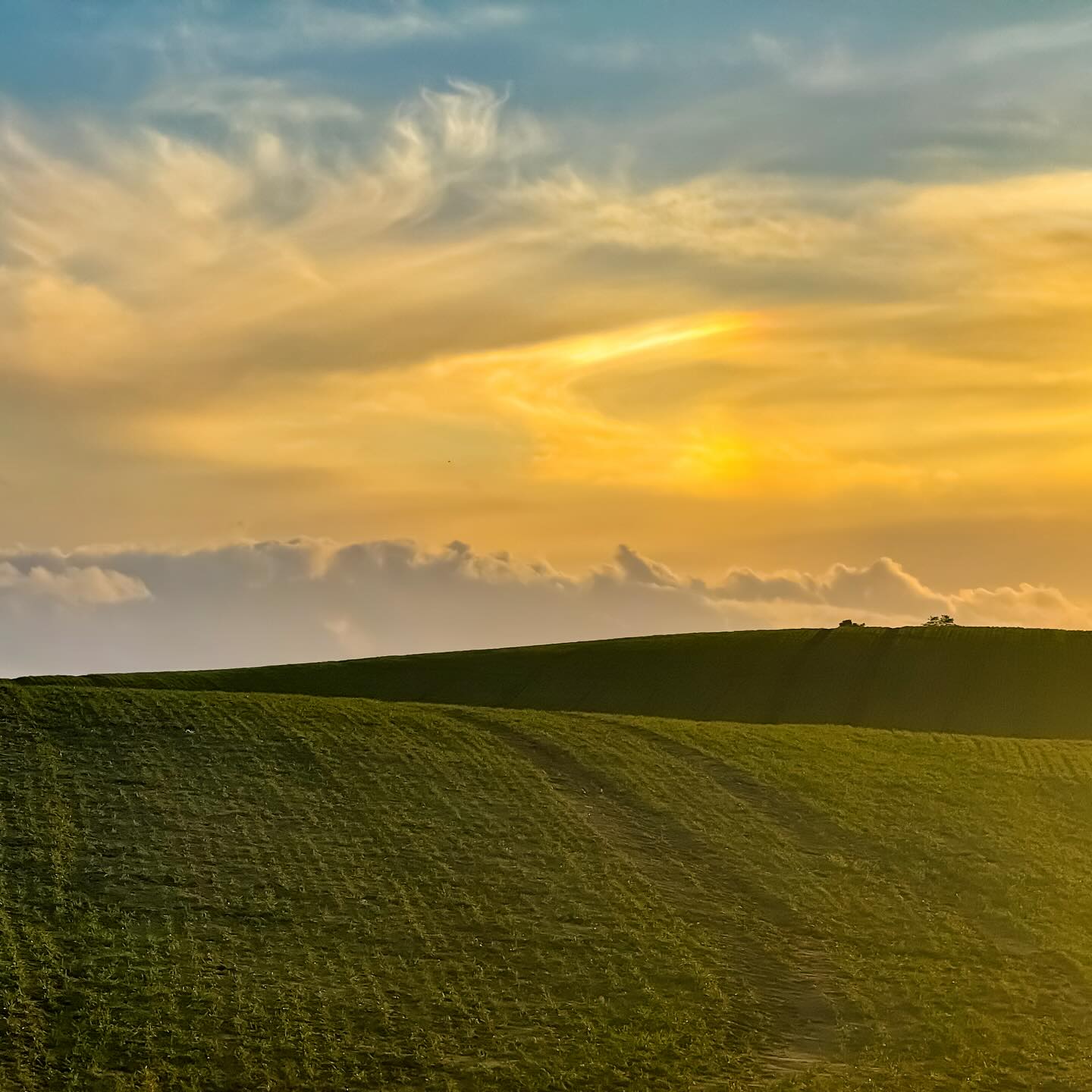 #latvia #nature #sunset