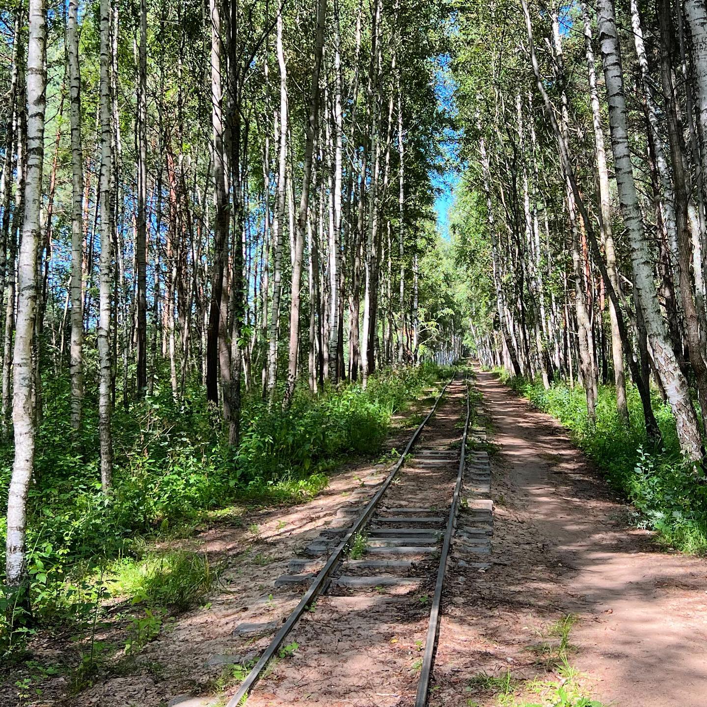 #latvia #balozi #forest #railway