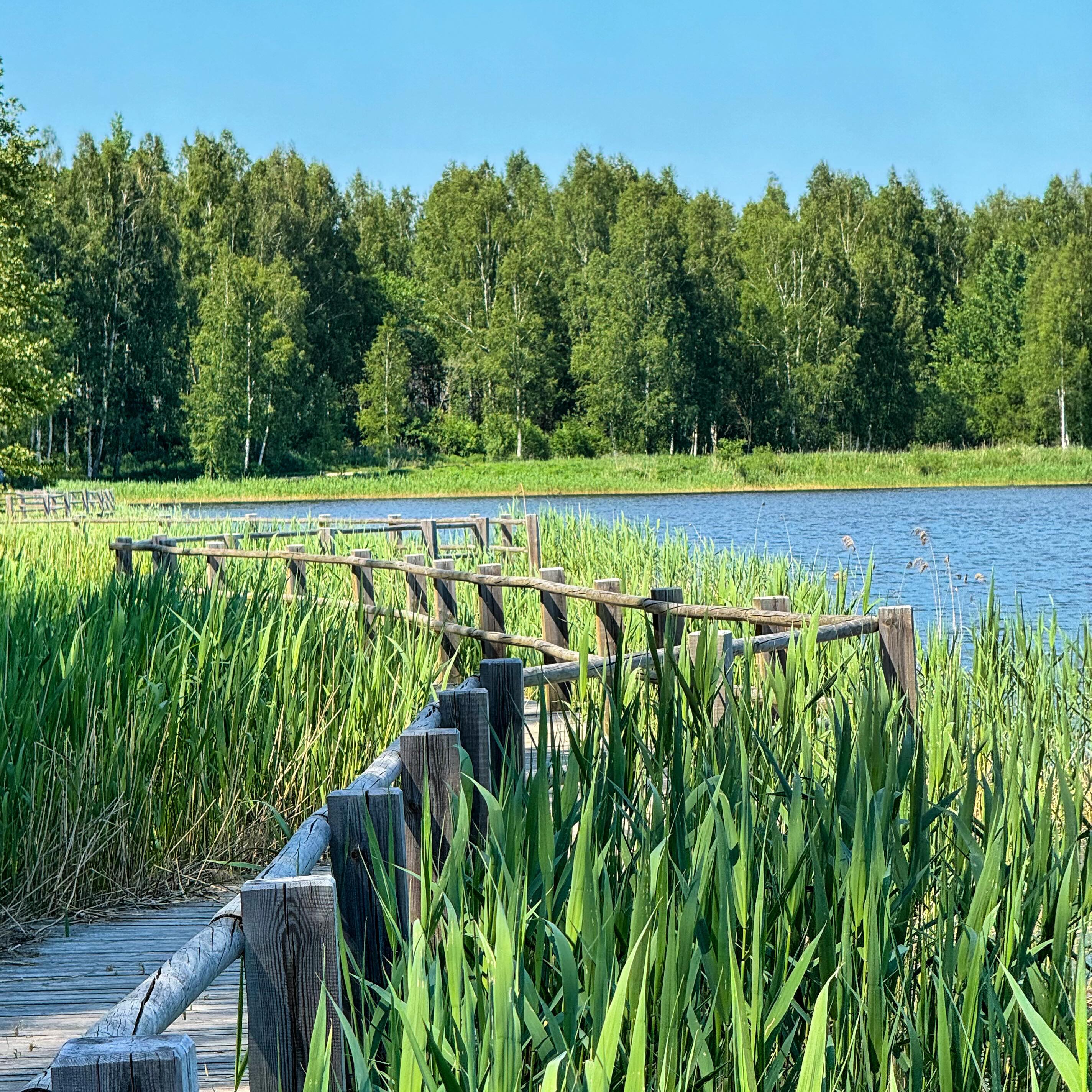 #latvia #nature #lake