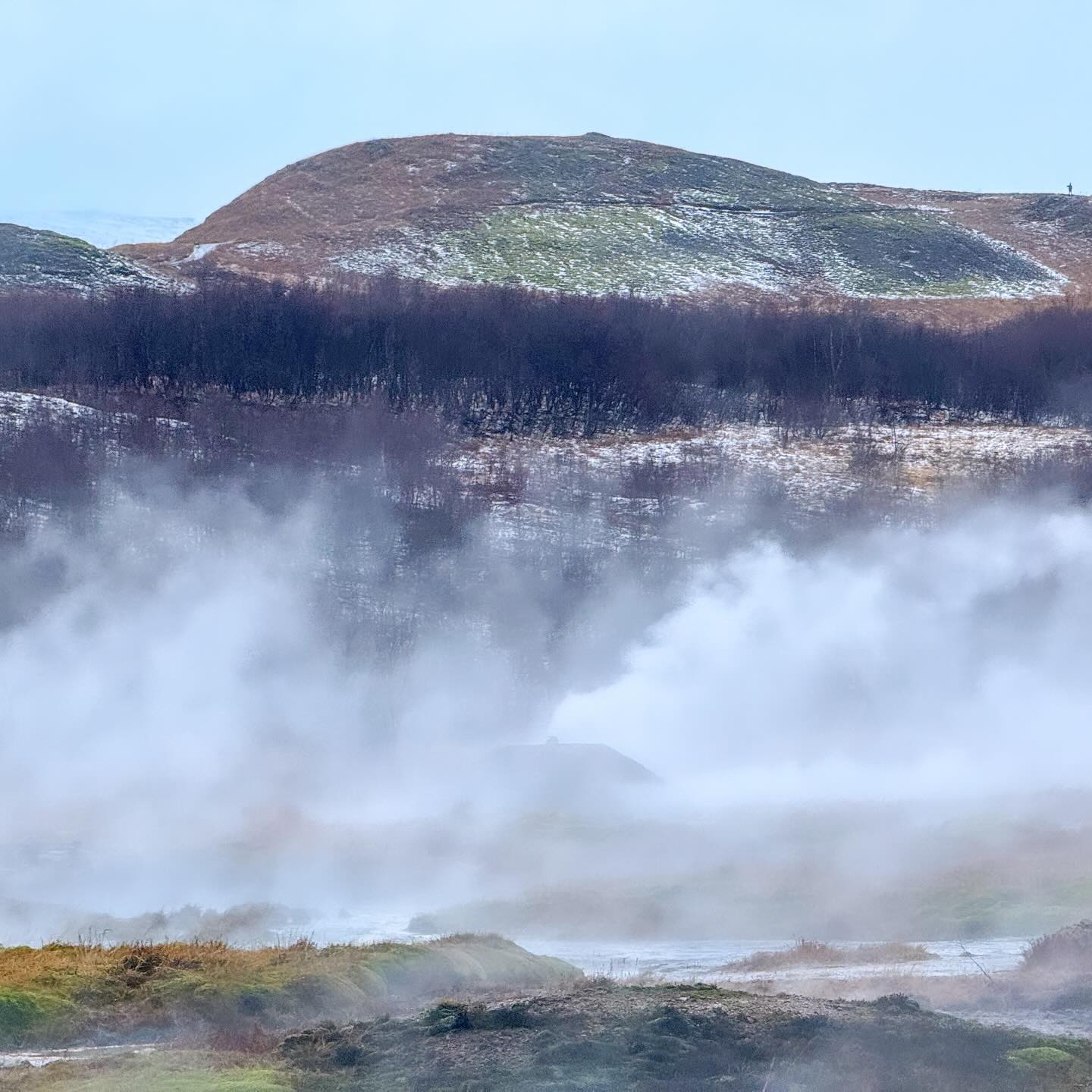 #iceland #geiser #geosir